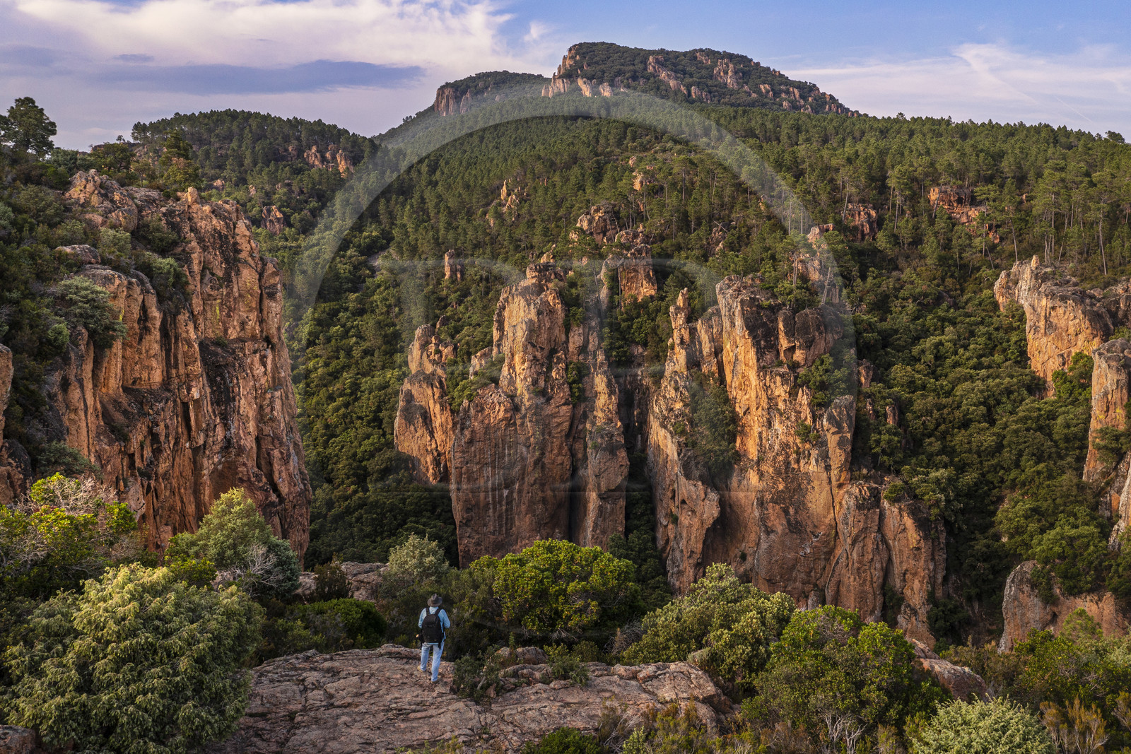 France, Var, between Bagnols en Foret and Roquebrune sur Argens, hiker at the entrance of the Gorges du Blavet (aerial view)