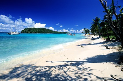 Caribbean sea, St Vincent and the Grenadines, Tobago Cays archipelago, beach of one of many uninhabited island