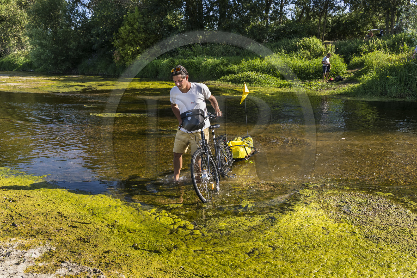 France, Maine-et-Loire (49), vallée de la Loire classée au Patrimoine Mondial par l'UNESCO, Saumur vers Saint-Hilaire, bancs de sable formant des îles sur la Loire, randonnée à bicyclette sur les berges de la Loire, vélo avec une remorque transportant le matériel de camping