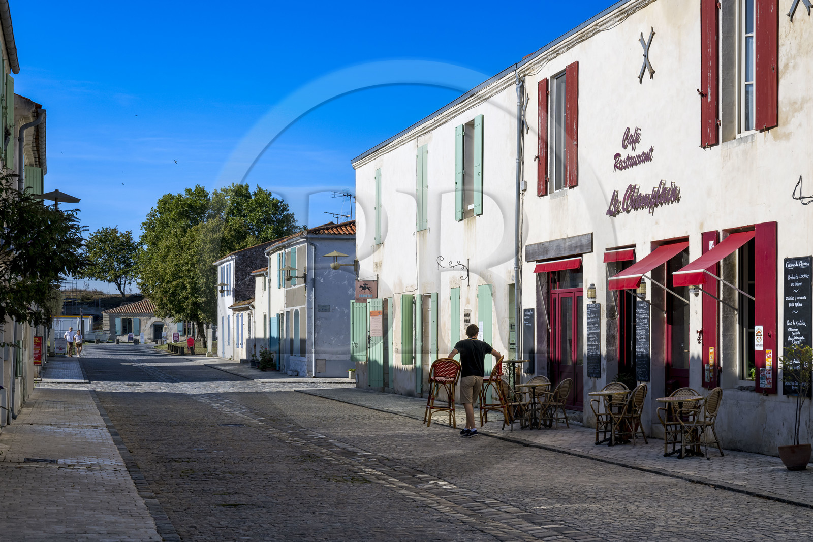 France, Charente-Maritime (17), Saintonge, Marennes-Hiers-Brouage, citadelle de Brouage, labellisé Les Plus Beaux Villages de France, la rue du Québec est la rue principale