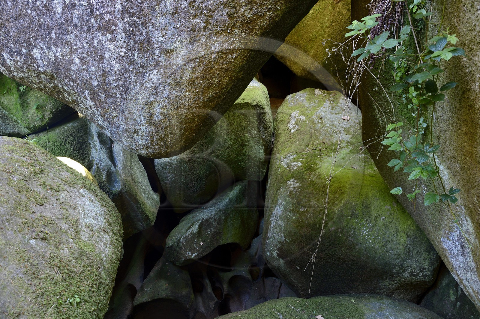 France, Finistère (29), parc naturel régional d'Armorique, Huelgoat, chaos granitique de la forêt du Huelgoat