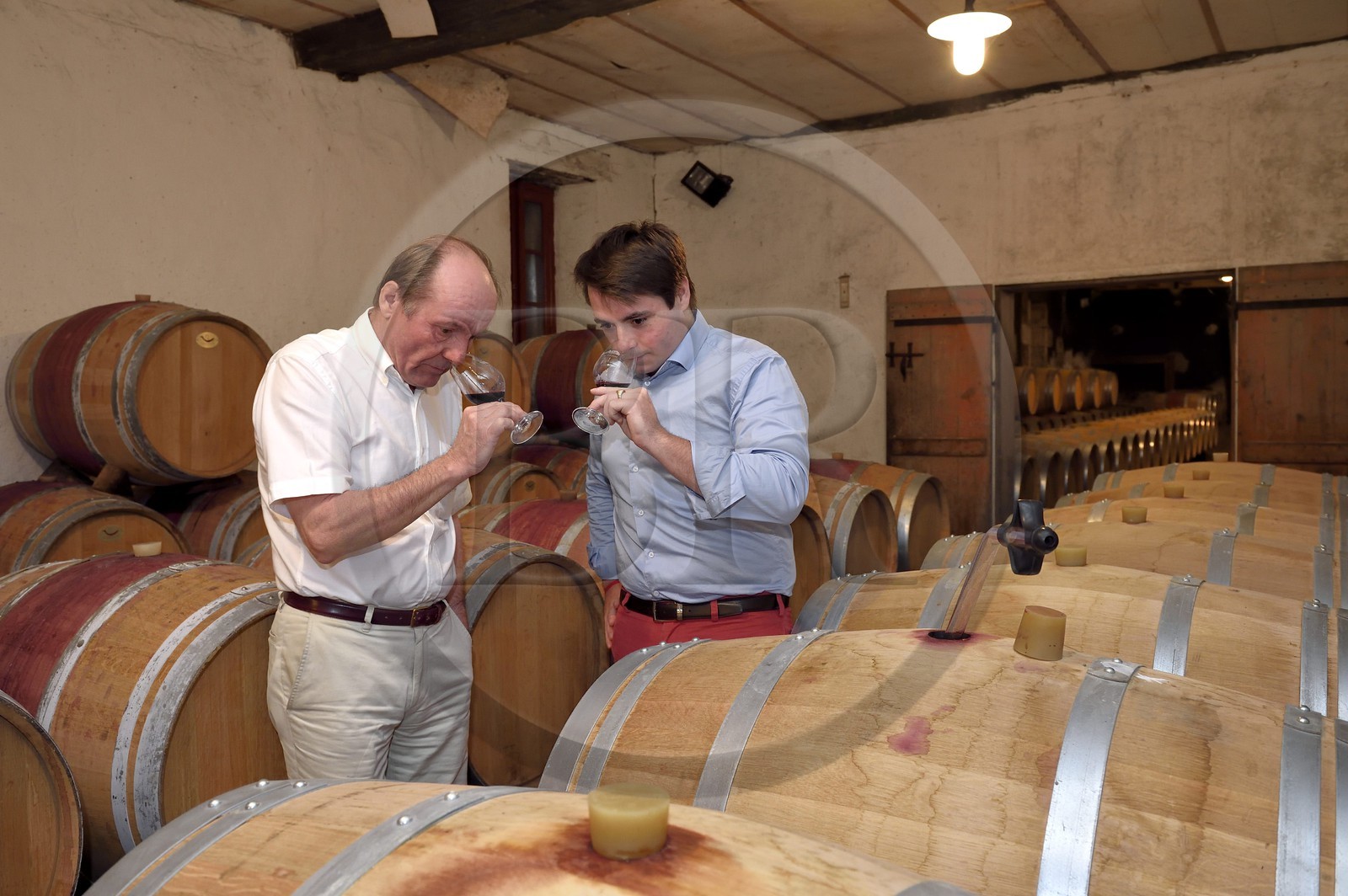 France, Dordogne (24), Creysse vers Bergerac, vignoble de Pécharmant, caves du chateau de Tiregand, Francois-Xavier de Saint-Exupéry proprétaire et viticulteur dans son chai