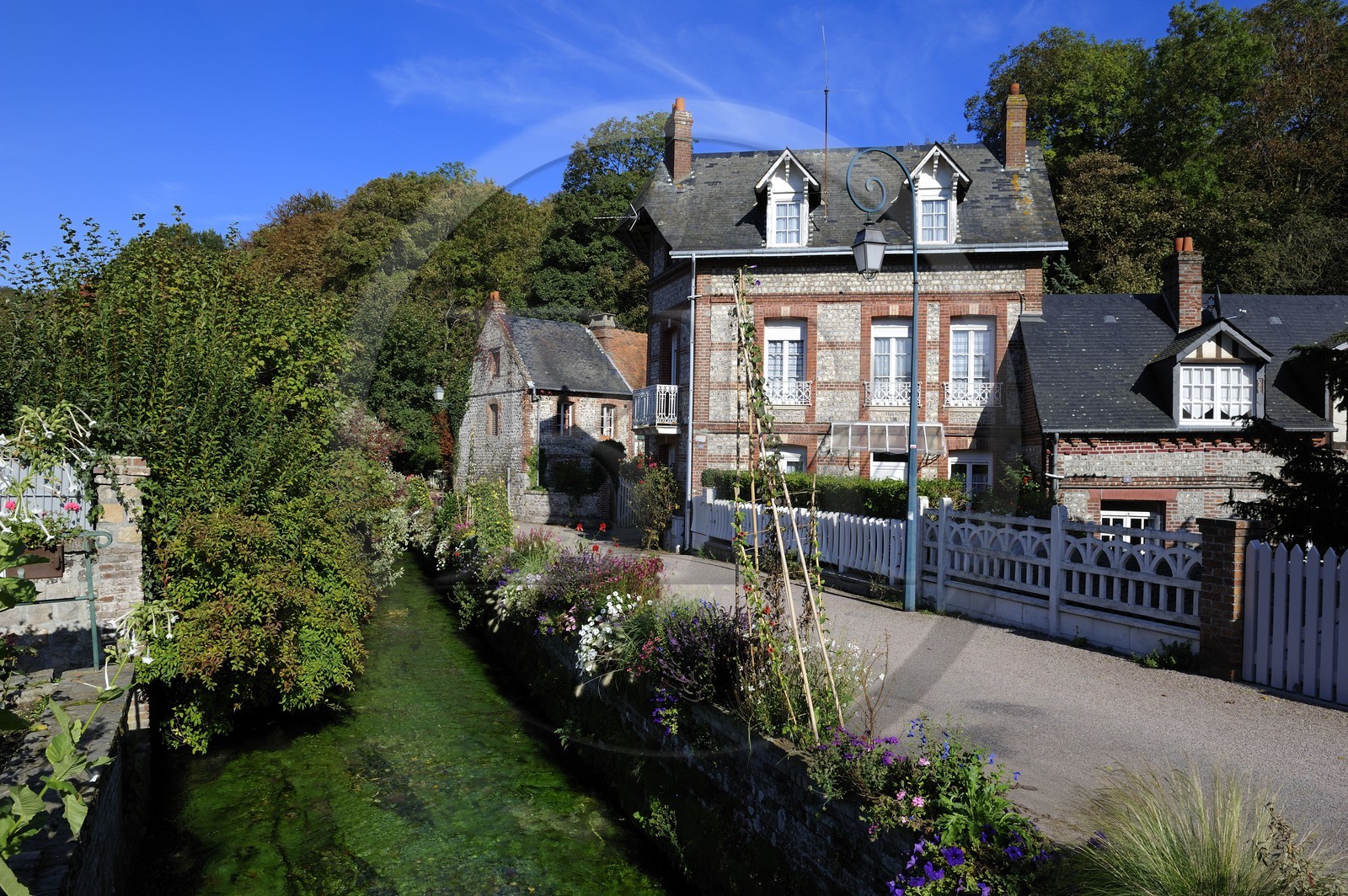 France, Seine-Maritime (76), Veules-les-Roses baignée par la Veules fleuve célèbre pour la faible longueur de son cours (1 100 m)