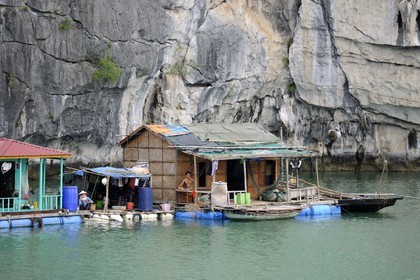 Vietnam, province de Quang Ninh, la Baie d'Halong classée Patrimoine Mondial de l'UNESCO, village flottant de pêcheurs de Vong Vieng