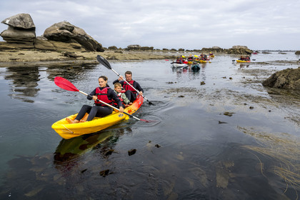 France, Finistère, Penmarch, Étocs archipelago, kayak trip from the Guilvinec Nautical Center to discover the gray seal (halichoerus grypus) in the rocks at low tide
