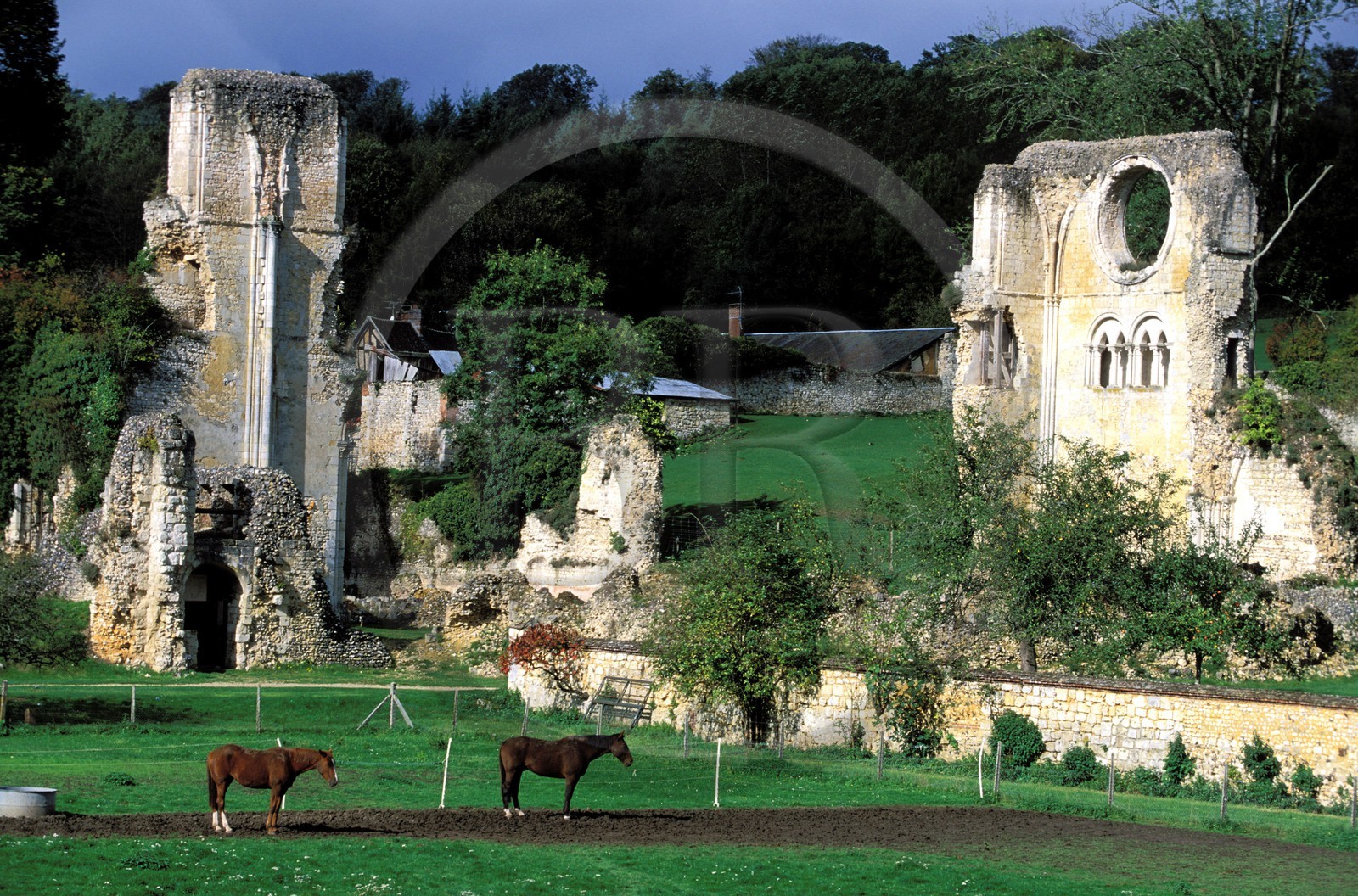 France, Eure, ruines of Mortemer abbey