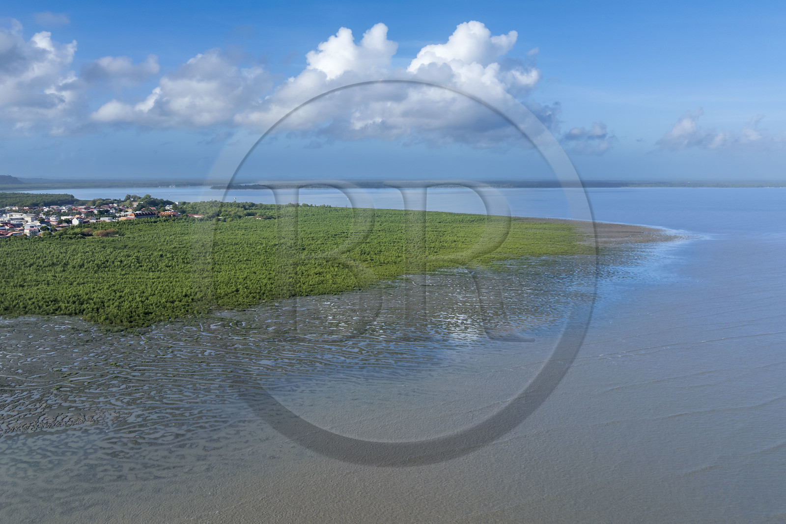 France, Guyane, Cayenne, Pointe Buzaré, la mangrove composée de palétuvier blanc (Laguncularia racemosa) entoure la totalité de la presqu'île de Cayenne, dans une période cyclique future elle disparaitra complétement pour à nouveau laisser place à la mer (vue aérienne)
