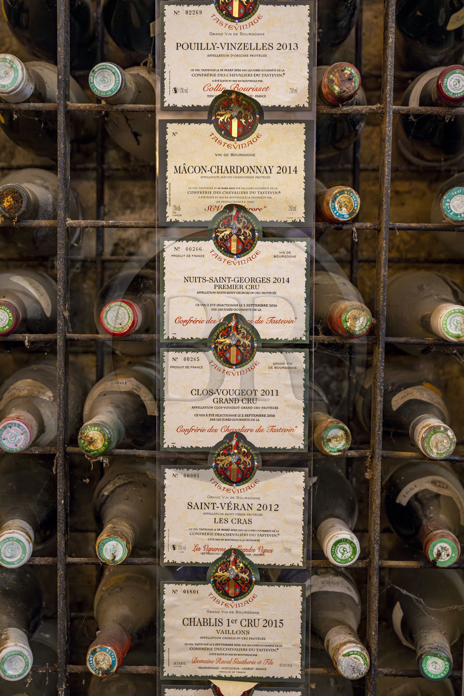 France, Cote d'Or, cultural Landscape of the climates of Burgundy listed as World Heritage by UNESCO, Route des Grands Crus (road of Vintage Wines), vineyard of the Côte de Nuits, Vougeot, the Chateau of Clos de Vougeot, wine library in the cellar of the Château du Clos de Vougeot with the plaques from the annual tastings