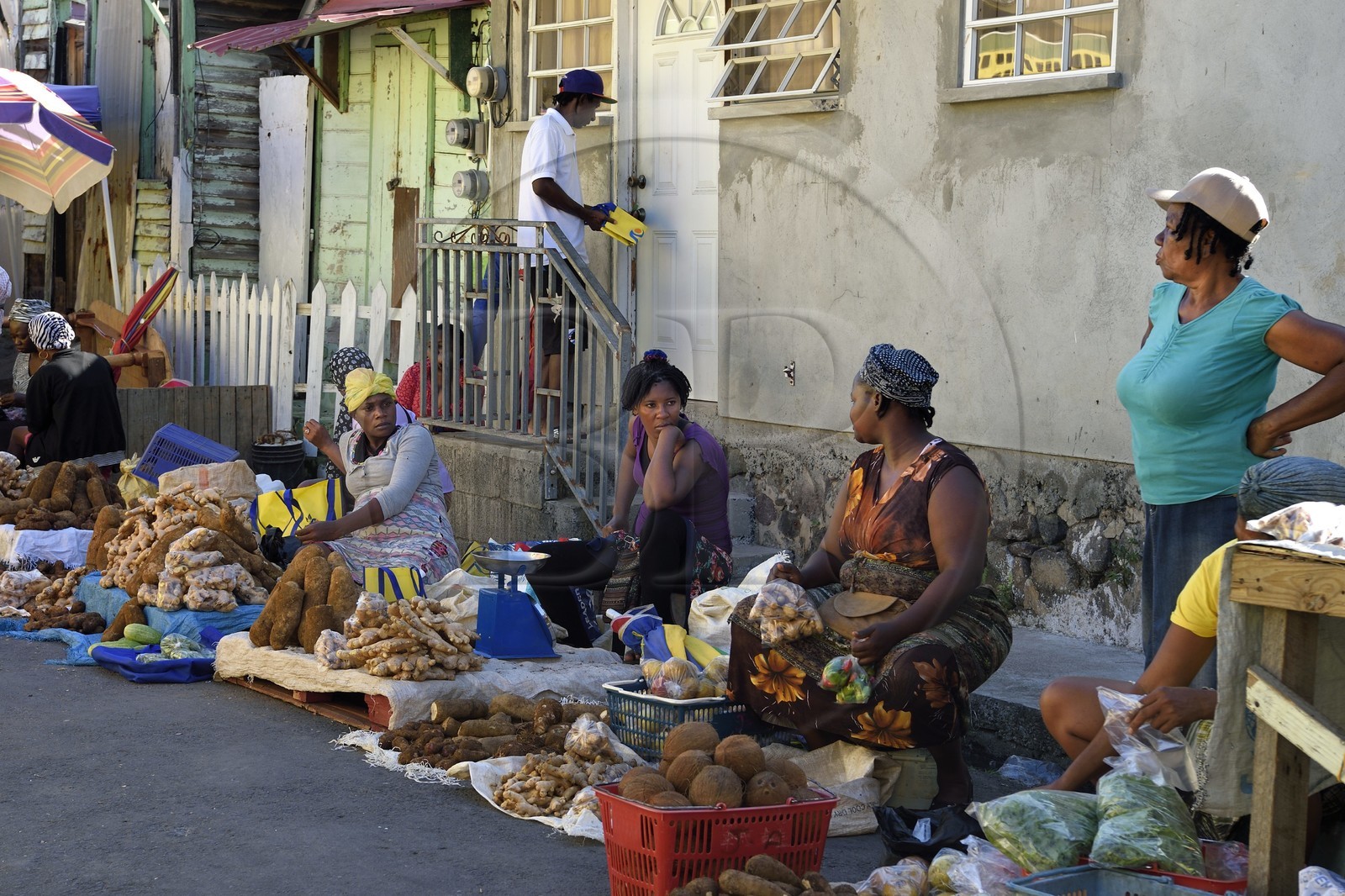 Caraïbes, Ile de la Dominique, la capitale Roseau, vente à l'étal de fruits et légumes aux abords du marché centrale
