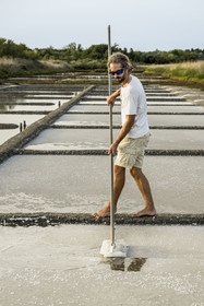France, Charente-Maritime (17), Ile d'Oléron, Saint-Georges-d'Oléron, cueillette artisanale de la fleur de sel avec une lousse à fleur par le saunier Samuel Barbereau