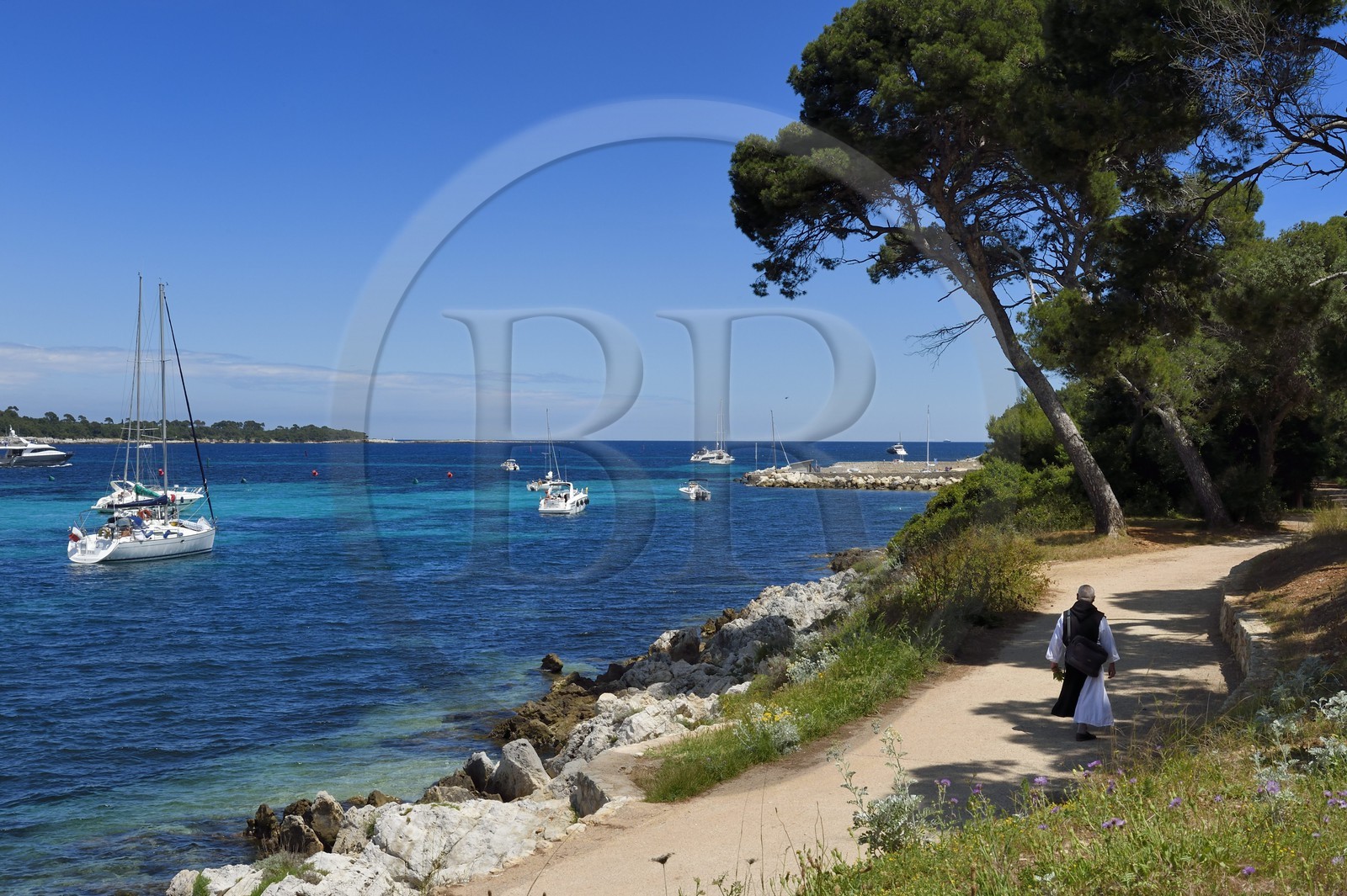 France, Alpes-Maritimes (06), Cannes, Iles de Lérins, Ile de Saint-Honorat, moine regagnant le monastère