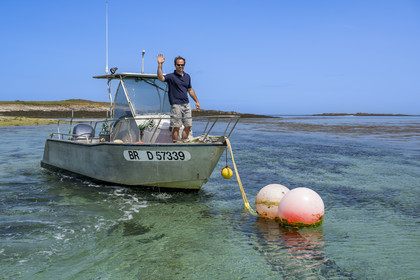 France, Finistère (29), Mer d'Iroise, archipel de Molène, Ile de Quéménès, ferme de Quéménès bio et autonome en énergie, l'agriculteur Etienne Menguy