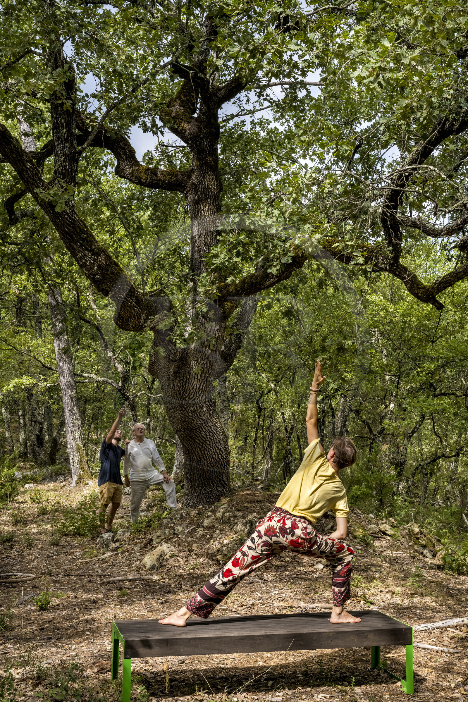 France, Var (83), Provence Verte, Bras, Académie du Bain de Forêt Provençale, forêt du domaine Le Peyrourier - une campagne en Provence, Constanze Coisne guide le Shinrin Yoku