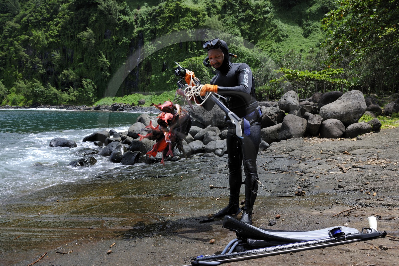 France, île de la Réunion, anse des Cascades, au sud de Piton-Sainte-Rose, classé Patrimoine Mondial de l'UNESCO, retour de pêche au harpon
