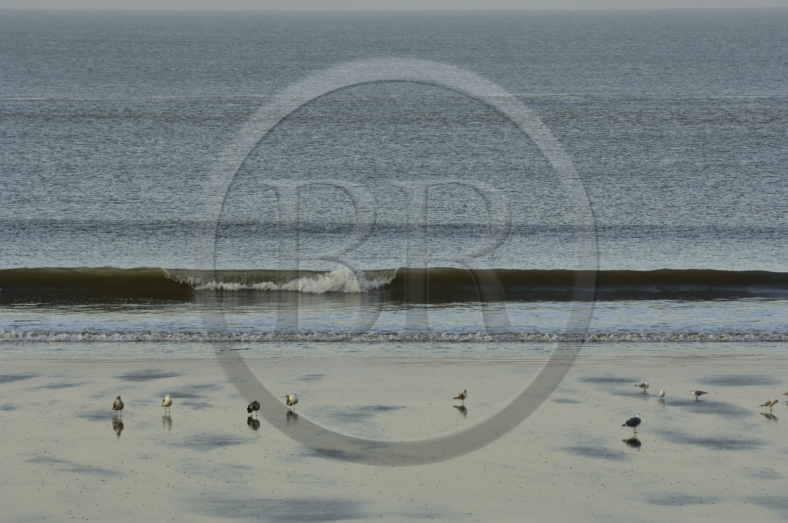 France, Charente-Maritime (17), Royan, conche de Pontaillac