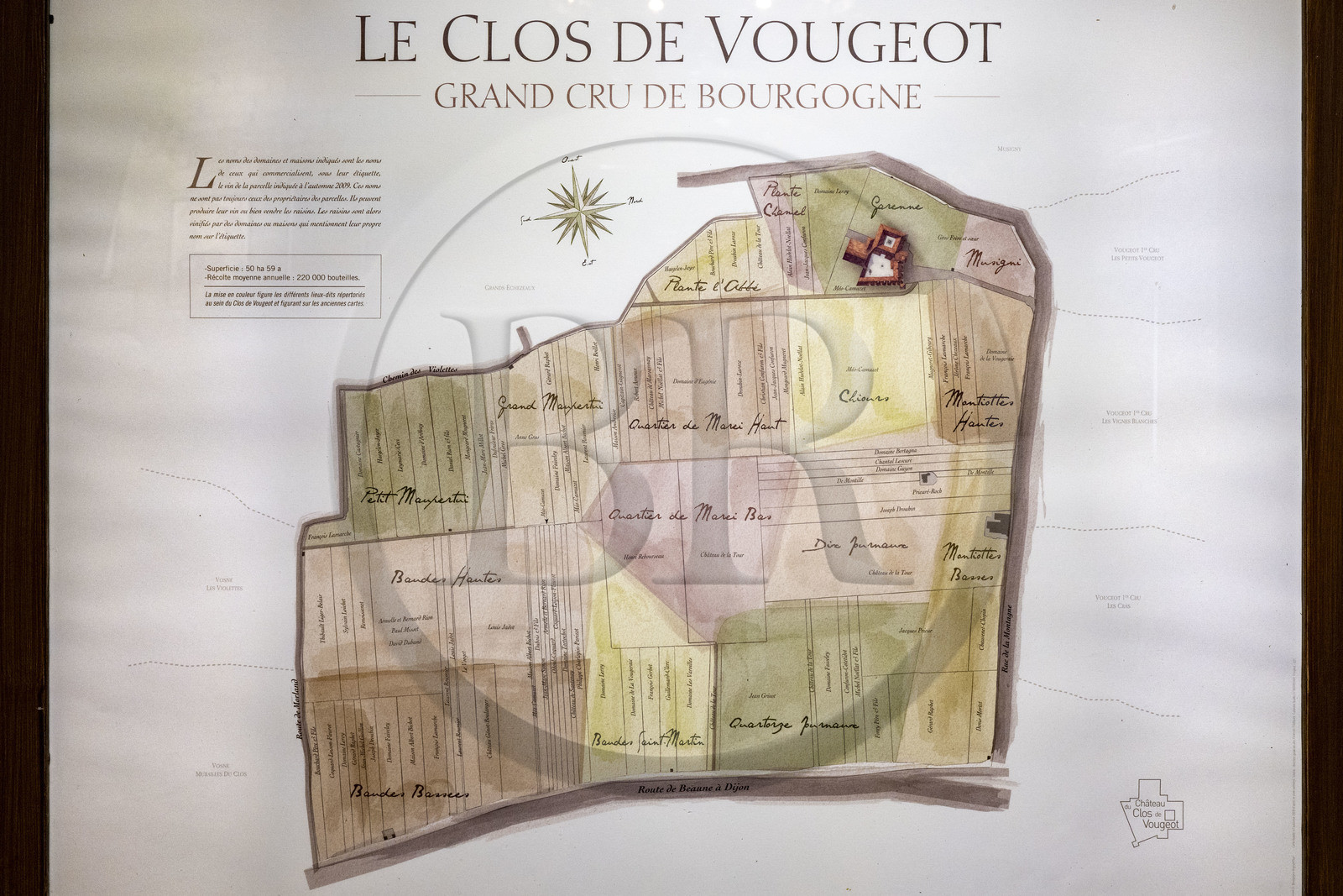 France, Côte-d'Or (21), Paysage culturel des climats de Bourgogne classés Patrimoine Mondial de l'UNESCO, Route des Grands Crus, vignoble de la Côte de Nuits, Vougeot, le Chateau du Clos de Vougeot, noms des parcelles