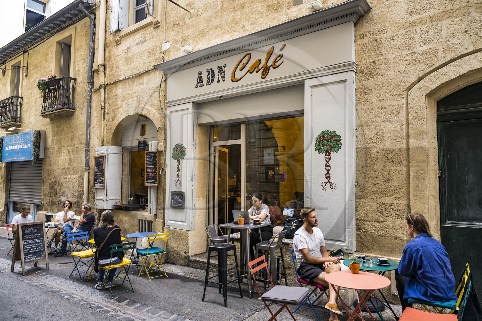 France, Herault, Montpellier, historic center called the Ecusson, ADN Café in rue de la Carbonnerie