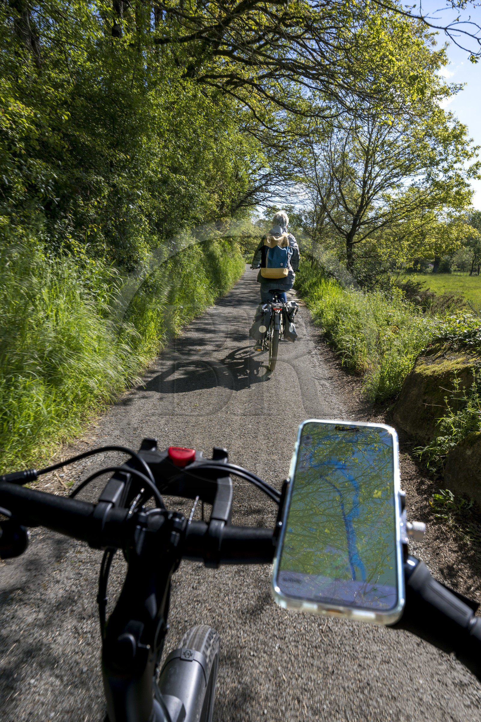 France, Vendée (85), Mortagne-sur-Sèvre, randonnée cycliste dans la vallée de la Sèvre Nantaise