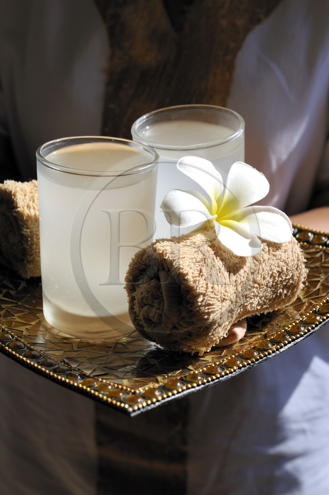 Tanzanie, archipel de Zanzibar, île de Unguja (Zanzibar), côte Sud-Est, Bwejuu, le luxueux Baraza Resort & Spa