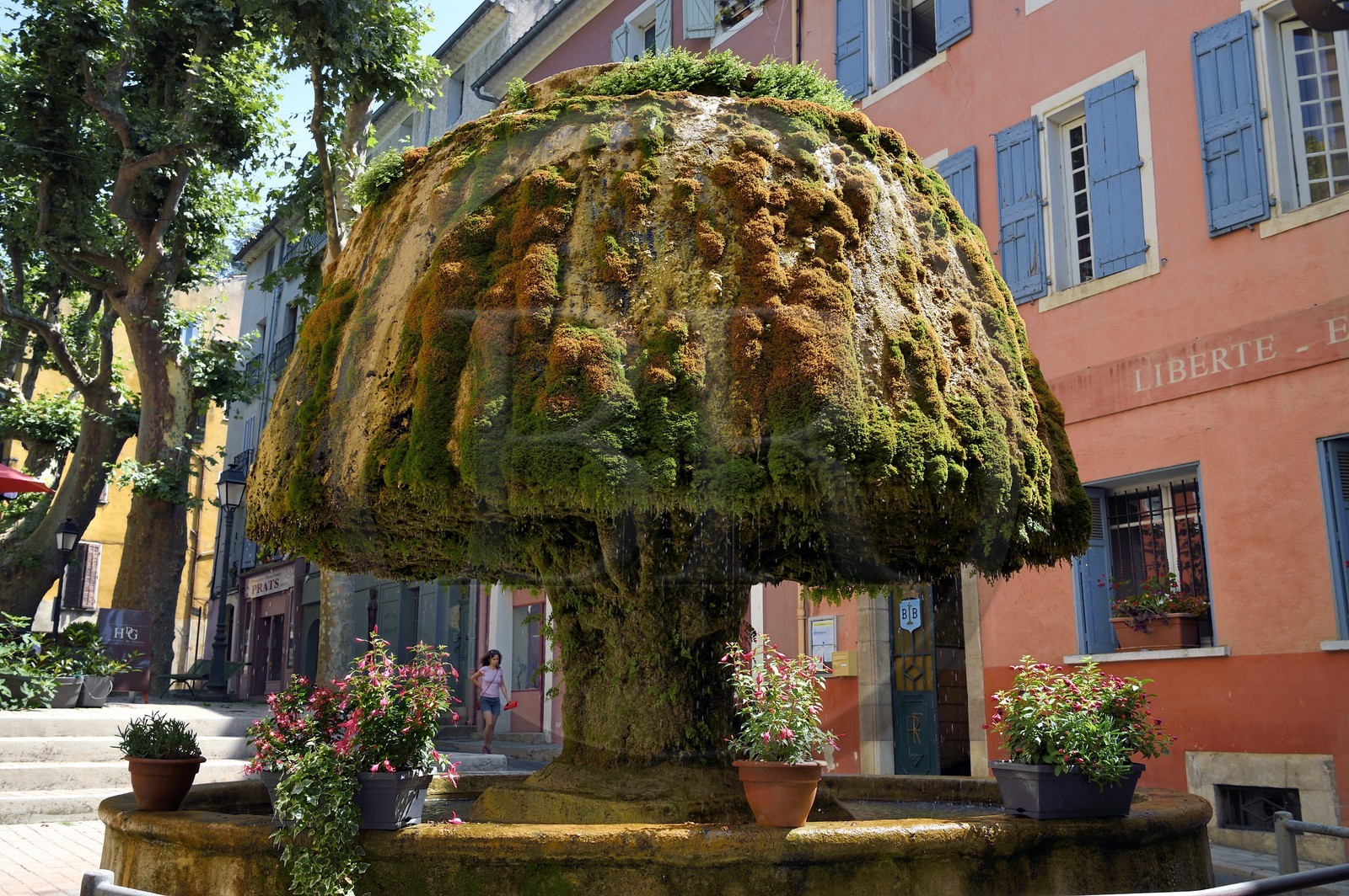 France, Var, Provence Verte, Barjols, fountain covered with tuff and moss in front of town Hall