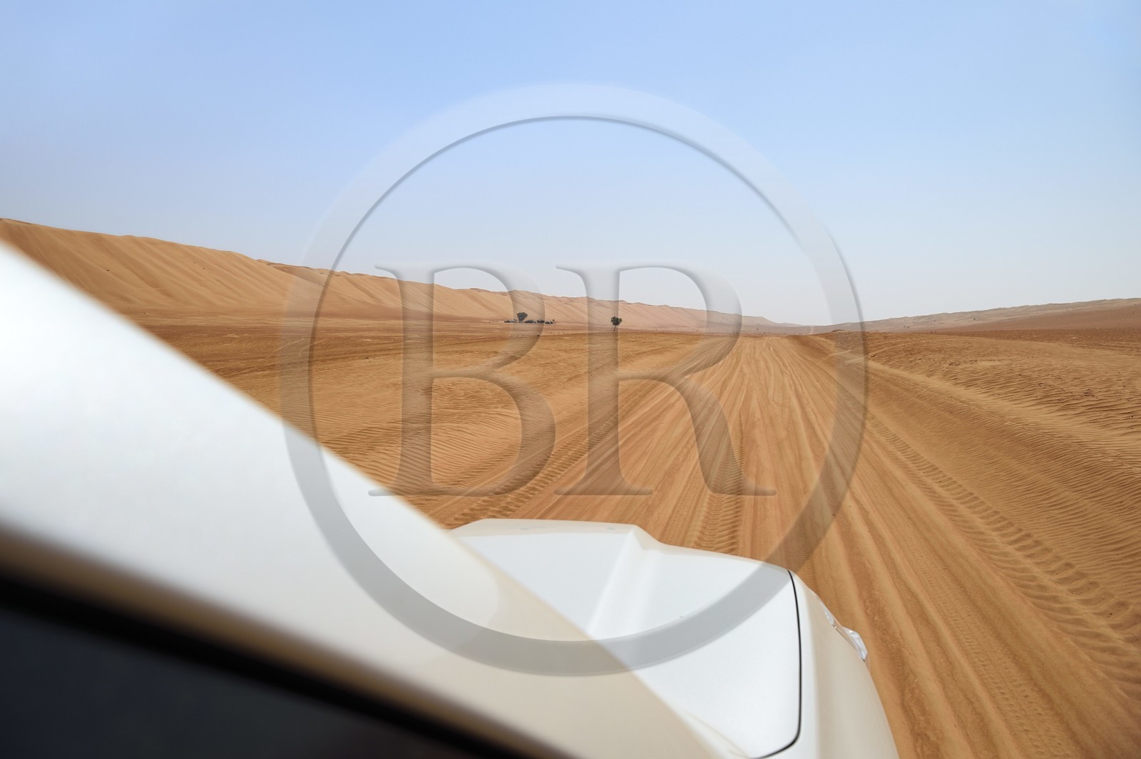 Sultanat d'Oman, gouvernorat de Ash Sharqiyah, désert des Wahiba Sands ou Sharqiya Sands, 4x4 sur la piste qui slalome entre les dunes de sable