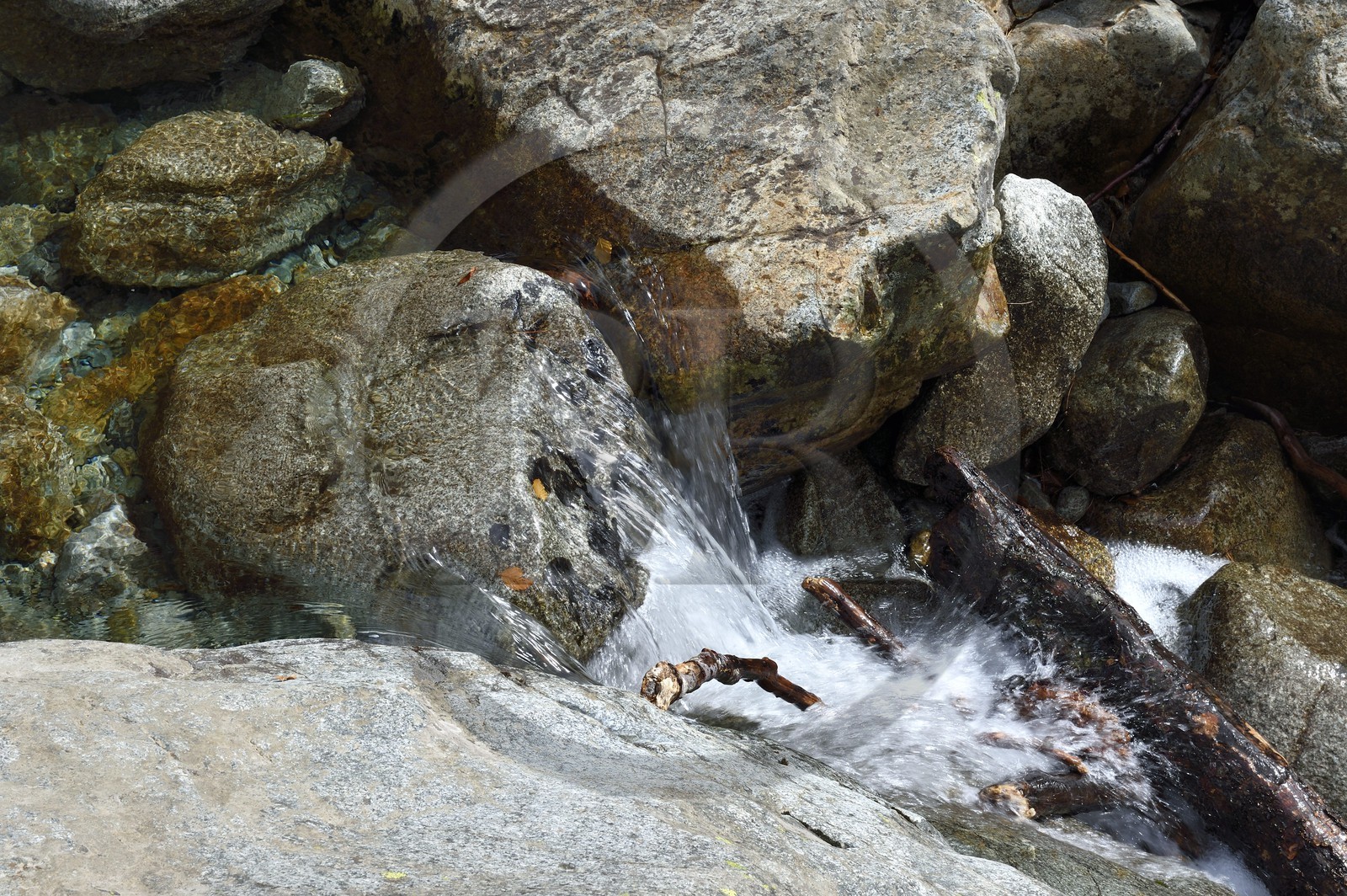 France, Haute Corse, Vivario, hiking on the GR 20, between Onda refuge and Vizzavona, Vizzavona forest, Englishmen cascades, waterfalls group in the Agnone valley under the Monte d'Oro