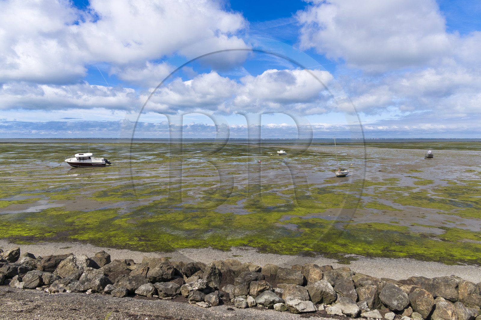 France, Vendée (85), île de Noirmoutier, Barbatre, la mer à marée basse devant la digue entre le Port de Bonhomme et le passage du Gois
