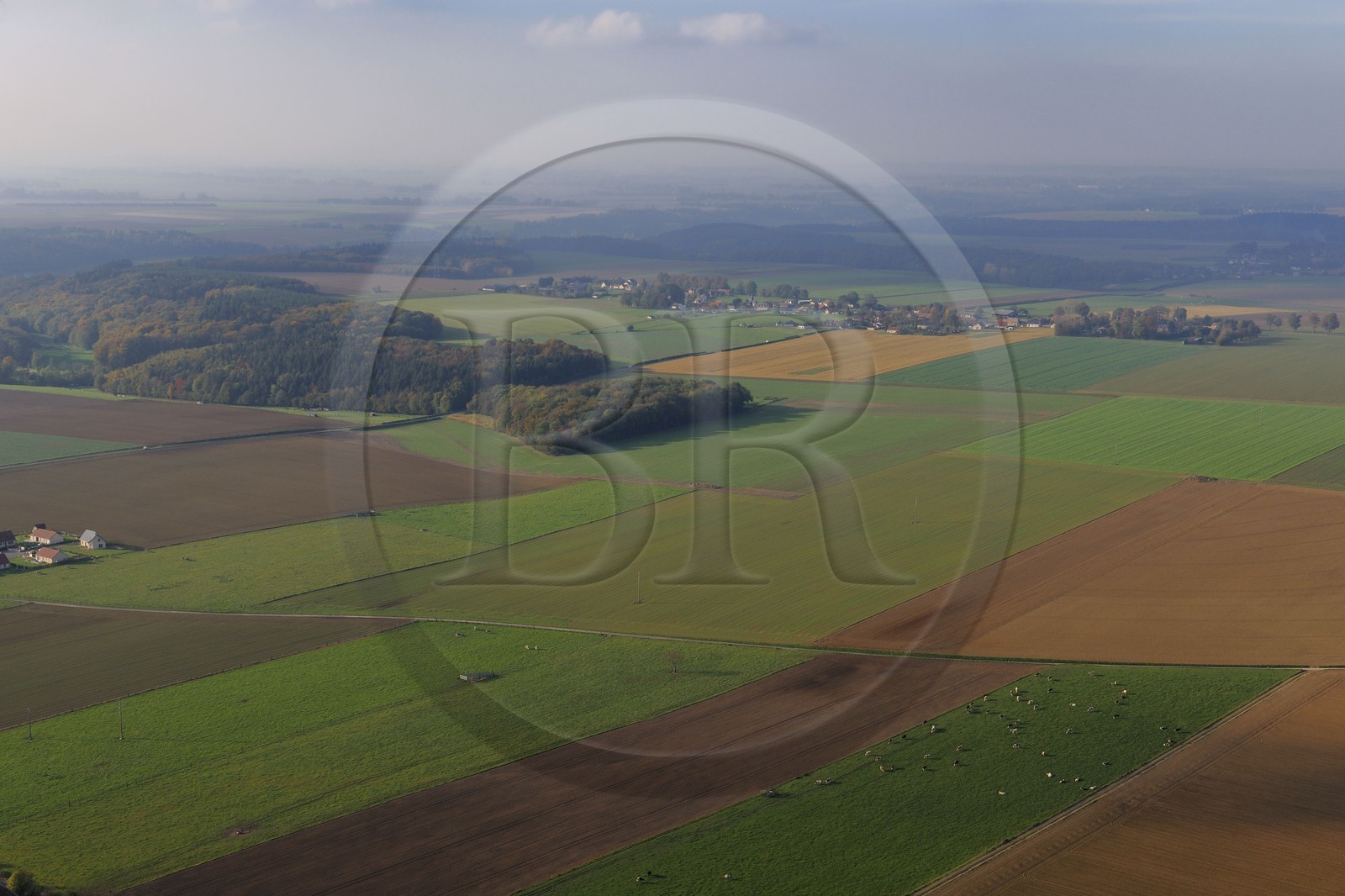 France, Seine-Maritime (76), Sainte-Foy, champs et prés de la campagne normande (vue aérienne)
