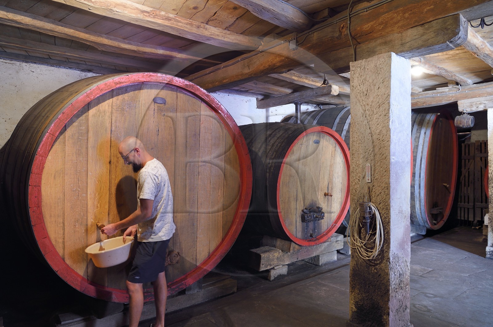 France, Bas-Rhin (67), Route des vins d'Alsace, Traenheim, cave du Domaine viticole MULLER Charles & Fils