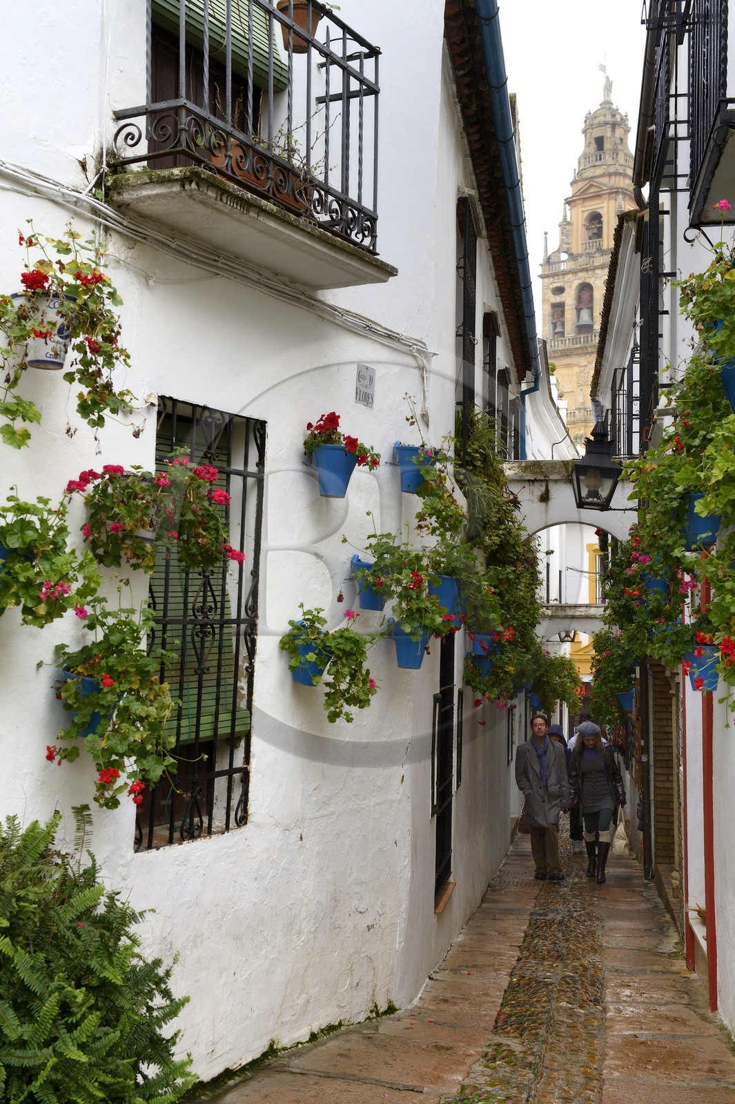 Espagne, Andalousie, Cordoue, centre historique classé Patrimoine Mondial de l'UNESCO, quartier de la Juderia, la calleja de las flores et le minaret de la Mezquita (la Mosquée-Cathédrale) en arrière plan