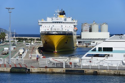 France, Haute-Corse (2B), Bastia, ferry à quai dans le port passagers et commercial