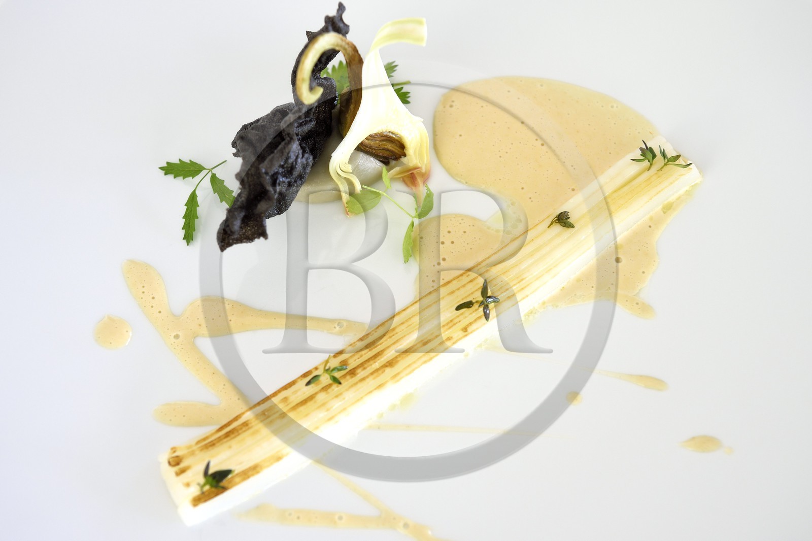 France, Alpes-Maritimes, Menton, Restaurant Le Mirazur from the two-star Michelin Chef Mauro Colagreco, Calamar Bordighera, rice crisps with squid ink