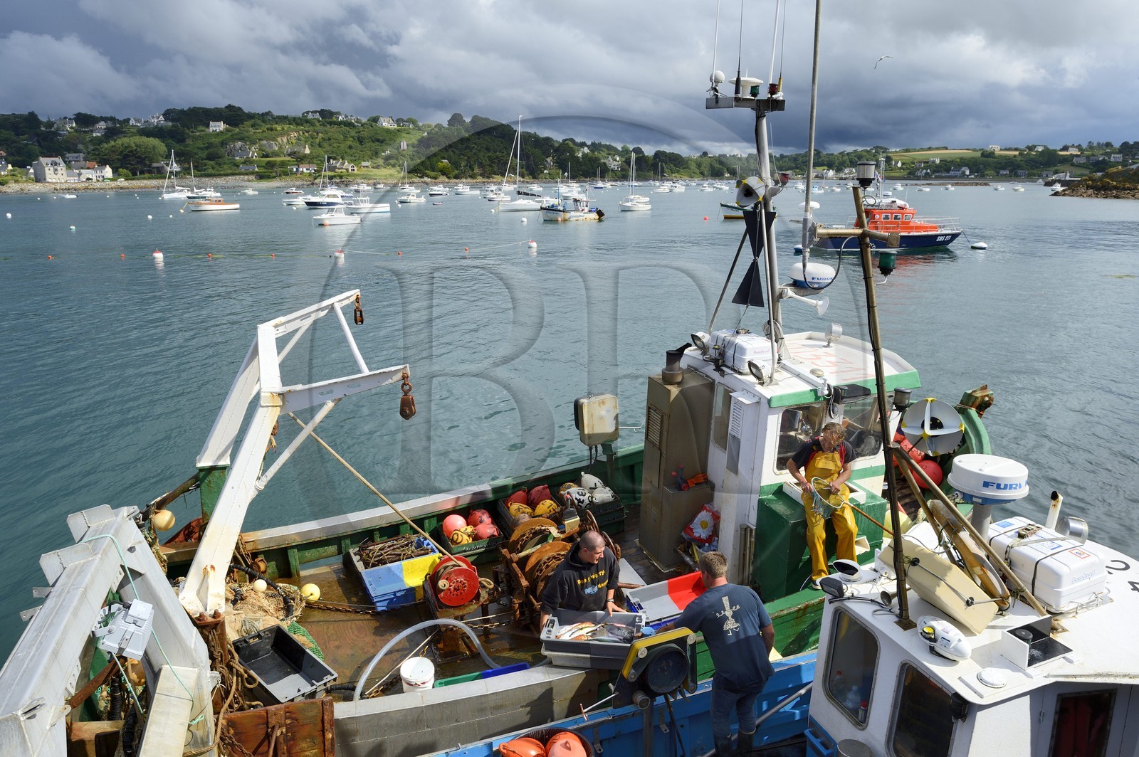 France, Finistere, Plougasnou,  trawlers returning from fishing in the port of Diben