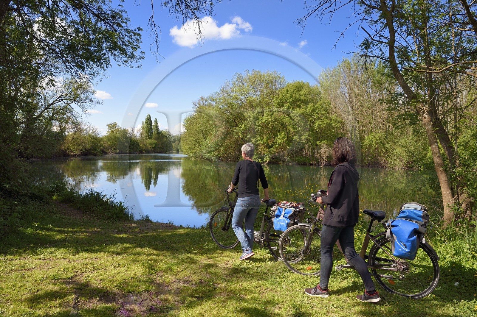France, Charente (16), la Charente entre Sireuil et Saint-Simeux, cyclistes sur la véloroute La Flow Vélo