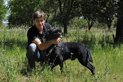 France, Gard (30), région du Pays d'Uzège, Uzès, Michel Tournayre créateur des “Truffières du Soleil” dans sa plantation truffière avec un de ses chiens truffiers