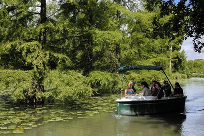 France, Loir-et-Cher (41), le parc du château de Cheverny, promenade en bateaux électriques longeant les cyprès chauves dans le canal