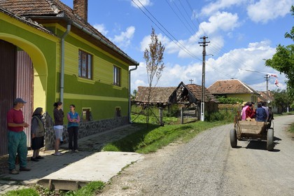 Roumanie, Transylvanie, région de Sighisoara, chariot tracté par un cheval dans le village de Movile