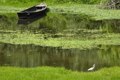France, Indre-et-Loire (37), Vallée de la Loire classée Patrimoine Mondial de l' UNESCO, bords de Loire à l'ouest de Villandry
