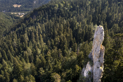 France, Hautes Alpes (05), Crots, rocher géant dans la forêt Boscodon, l'abbaye Notre-Dame de Boscodon en arrière plan (vue aérienne)