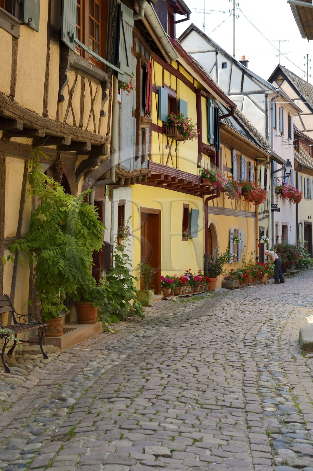France, Haut Rhin, Eguisheim, labelled Les Plus Beaux Villages de France (The Most Beautiful Villages of France), traditional half-timbered houses in the South Rampart Street
