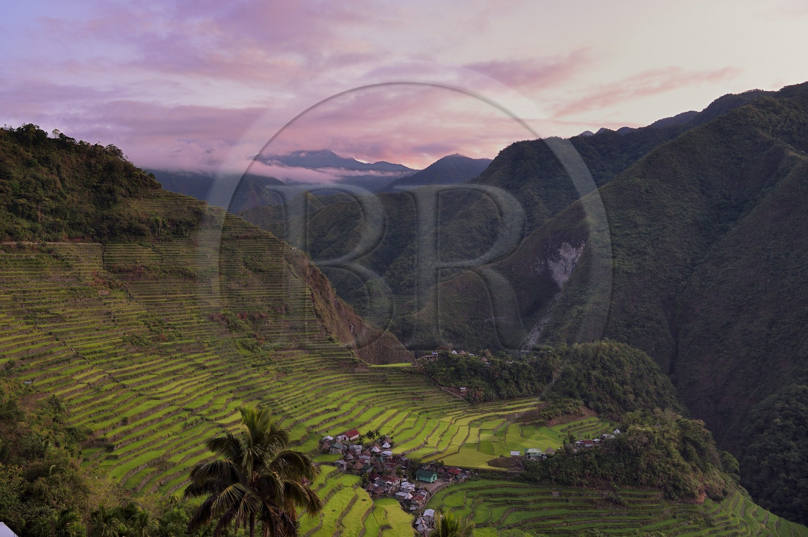 Philippines, Ifugao province, Banaue rice terraces around the village of Batad, listed as World Heritage by UNESCO, fed by an ancient irrigation system from the rainforests above the terraces, at dawn