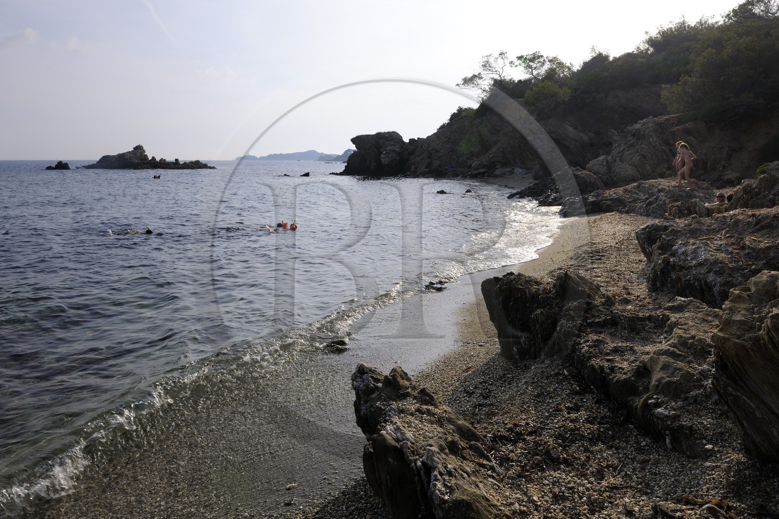 France, Var (83), presqu'île de Giens, la côte vers la Tour Fondue