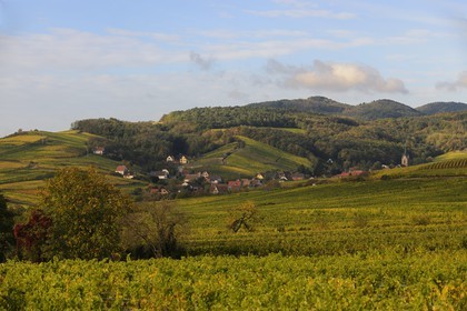 France, Bas-Rhin (67), village de Rodern entouré de vignes