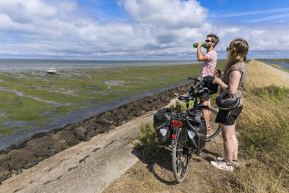 France, Vendée (85), île de Noirmoutier, La Guérinière, cyclistes sur la piste cyclable qui suit la digue entre le Port de Bonhomme et le passage du Gois