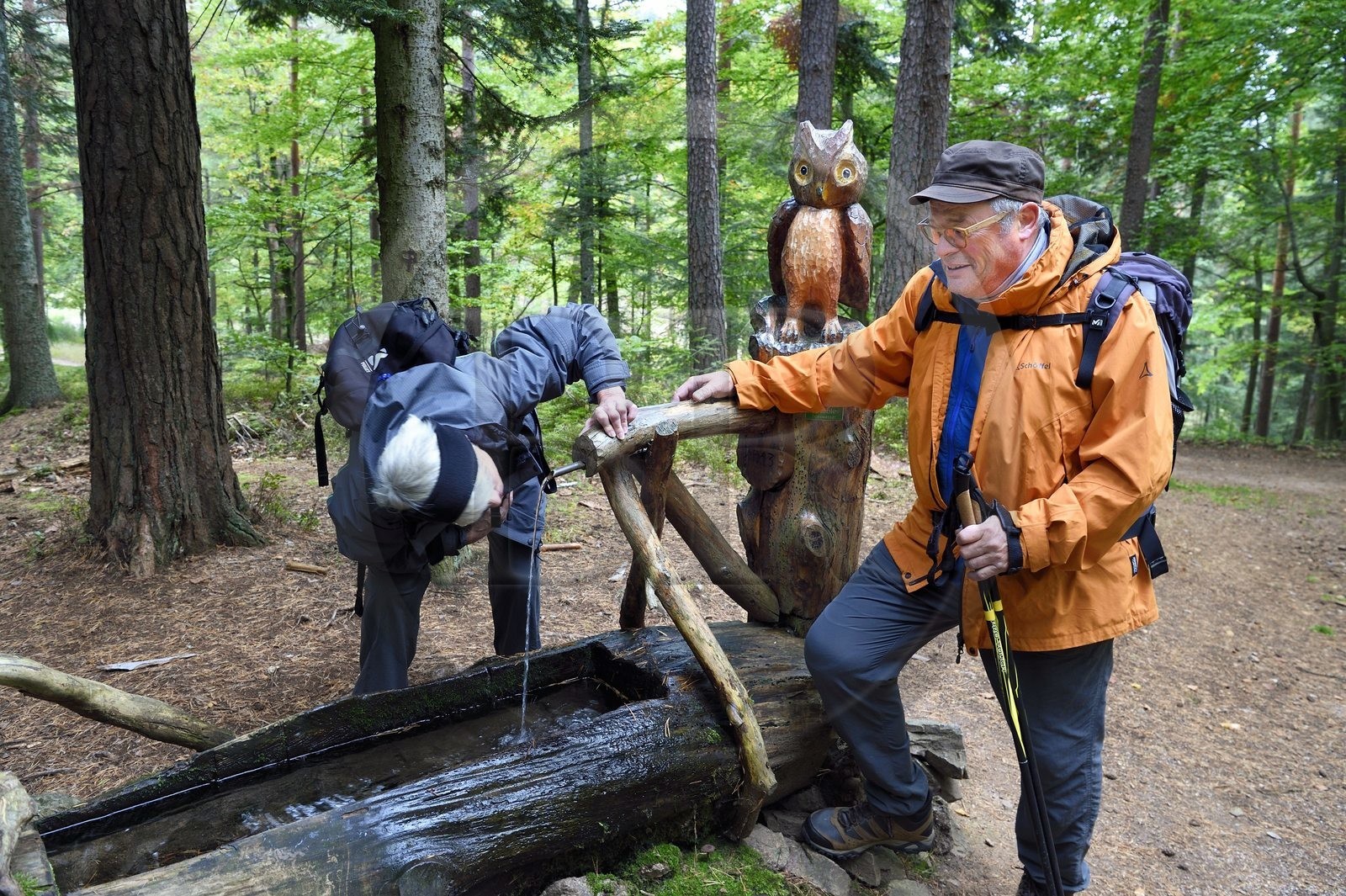 France, Haut-Rhin (68), Thannenkirch, randonnée dans le massif du Taennchel, Hubert Bihl du Club Vosgien devant une fontaine sculptées