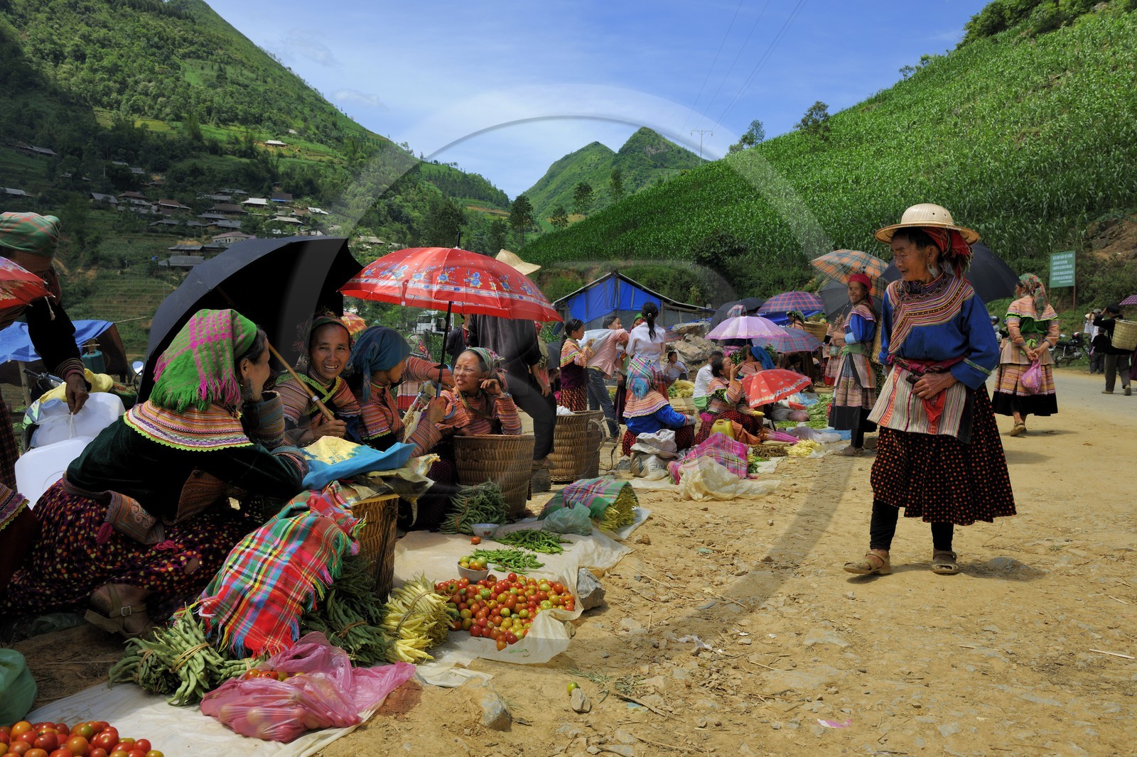 Vietnam, province de Lao Cai, région de Bac Ha, marché de Can Cau, femmes de la minorité Hmong Fleur