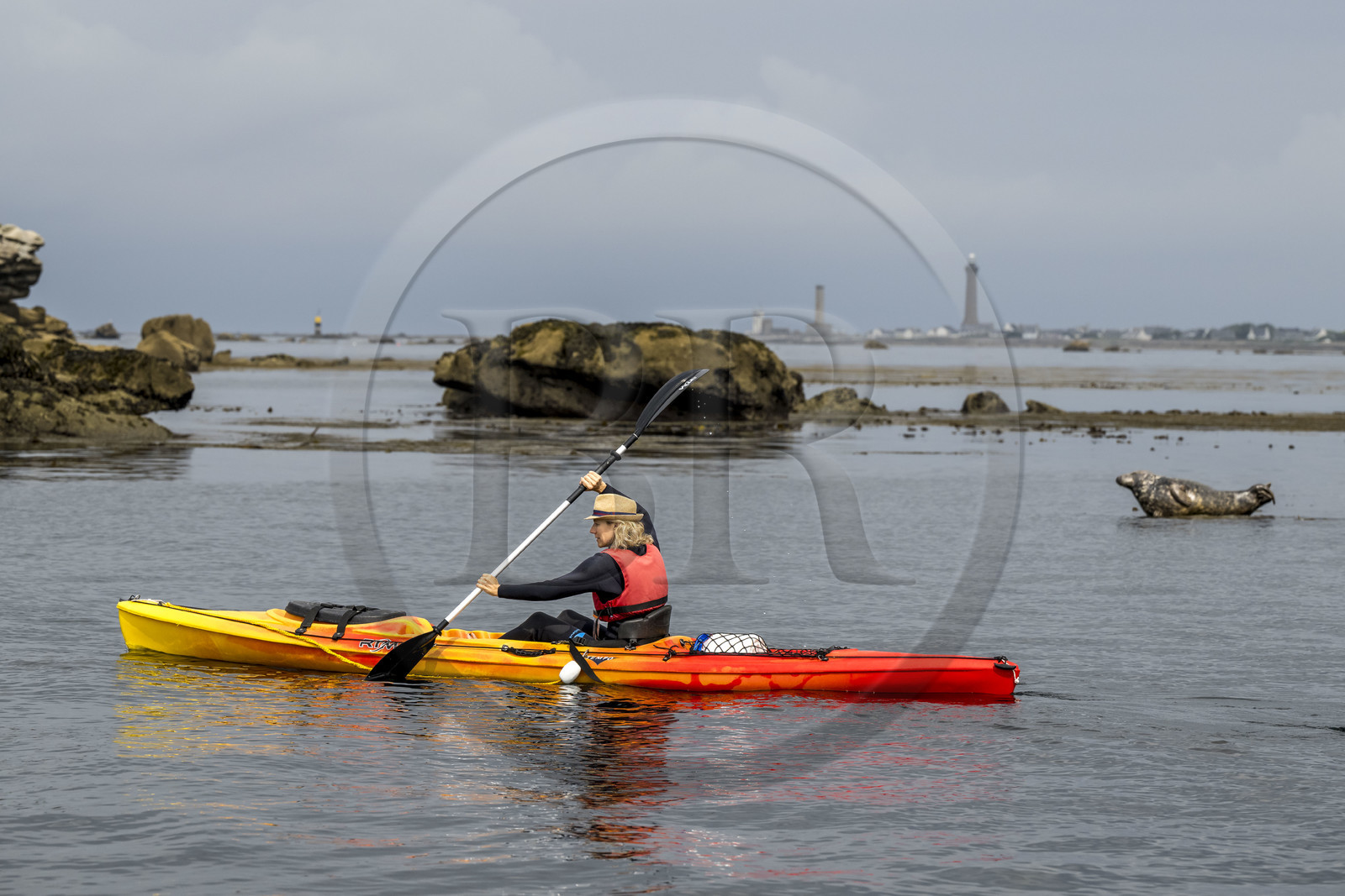 France, Finistère (29), Penmarch, archipel des Étocs, sortie en kayak du Centre nautique du Guilvinec à la découverte du phoque gris (halichoerus grypus) dans les rochers à marée basse, le phare d'Eckmuhl sur la Pointe de Penmarch en arrière plan