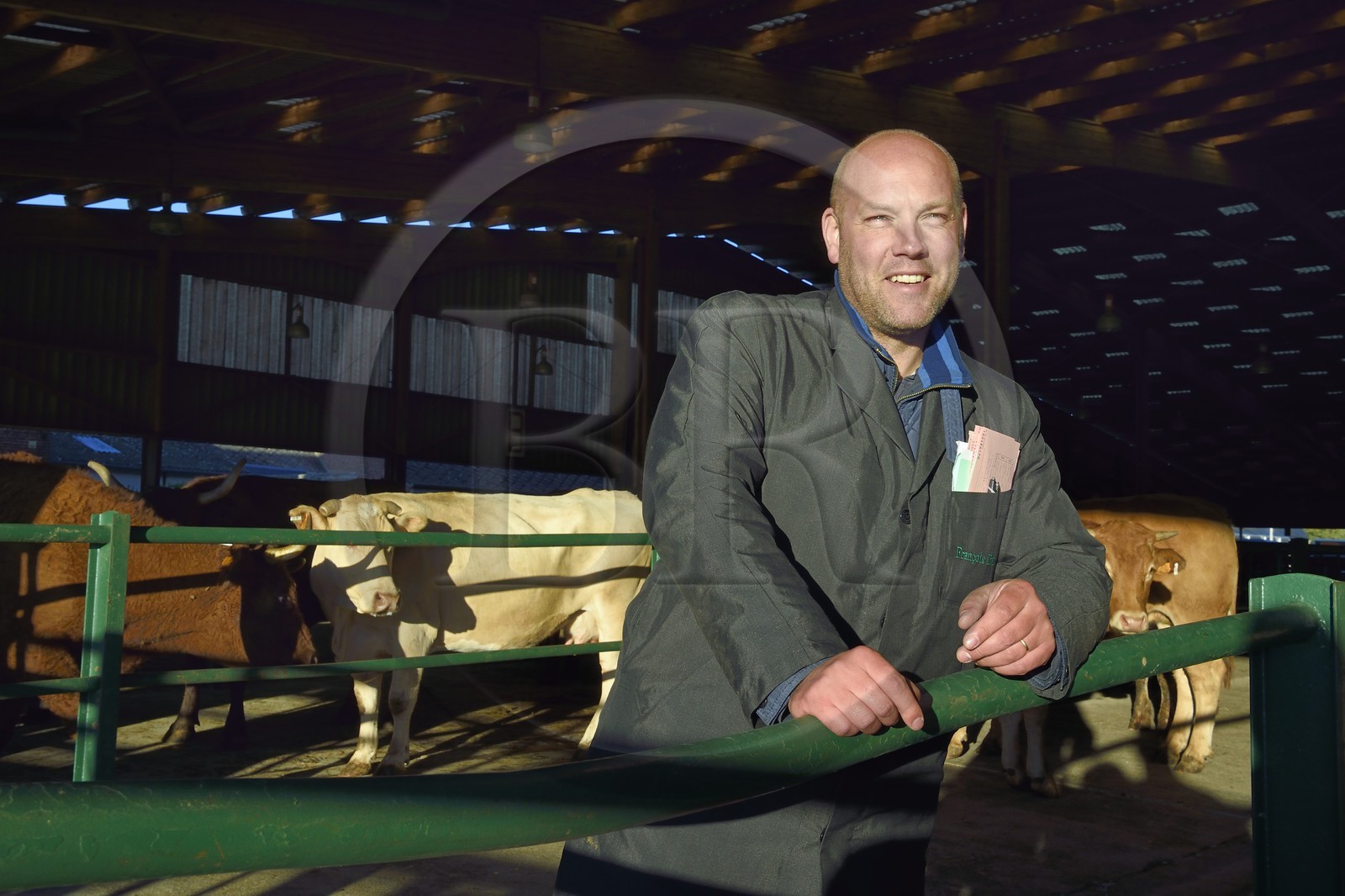 France, Seine-Maritime (76), Forges-les-eaux, marché couvert aux bestiaux, Stéphane François négociant de Bestiaux