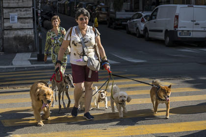 Italie, Ligurie, Gênes, promeneuse de chiens de retour du Castelletto
