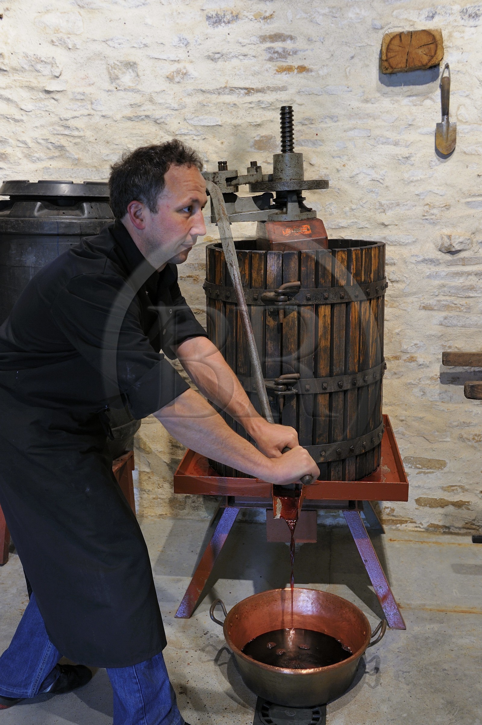 France, Côte d'Or (21), Concoeur, Ferme Fruitrouge, Isabelle et Sylvain Olivier produisent tous les produits à base de fruits rouges qu'ils récoltent, ici le jus de cassis